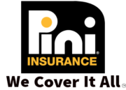 Pini Insurance